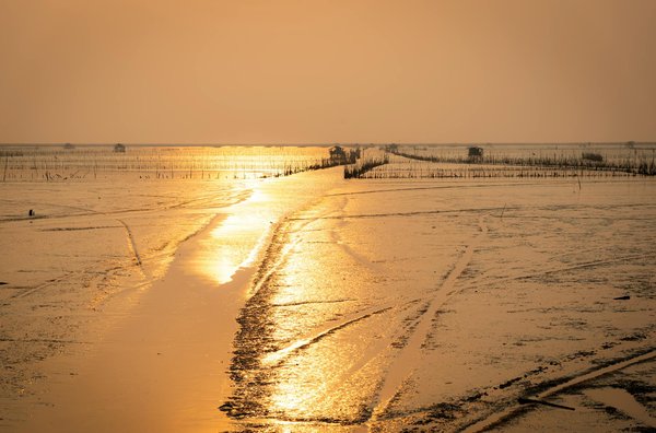 Discover the cotswolds" top artisan cheese makers: your essential guide to gourmet delights