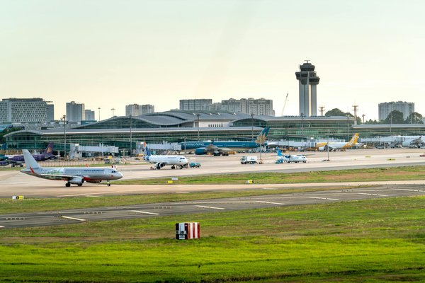 Top Strategies for Managing Common UK Campsite Pests: Tackling Wasps and Ants Effectively